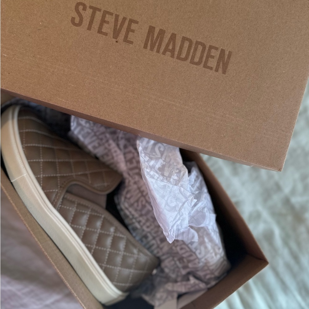 Steve Madden Ecentrcq Sneakers